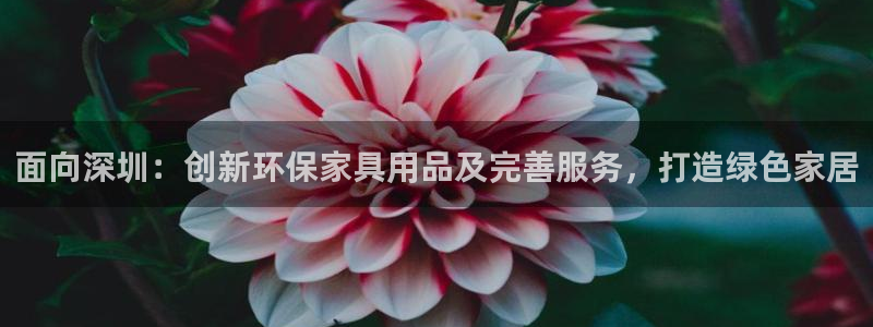 杏耀平台代理怎么赚钱