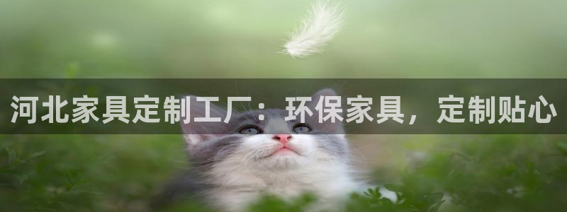 杏耀开户app下载