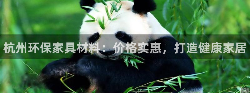 杏耀代理主管qq
