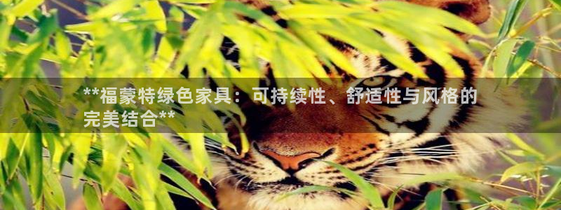 杏耀主管qq