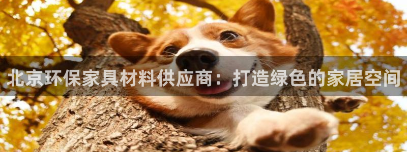 杏耀官方网