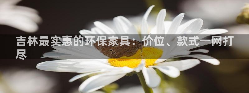 杏耀总代理