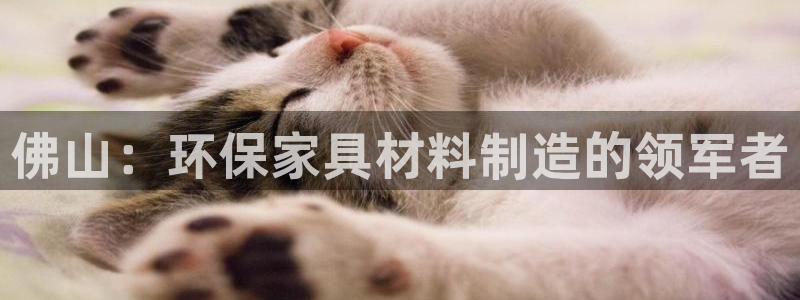 杏耀注册登录代理