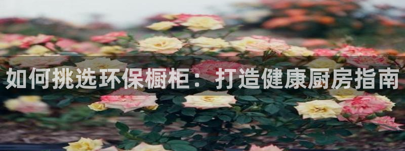 杏耀总代