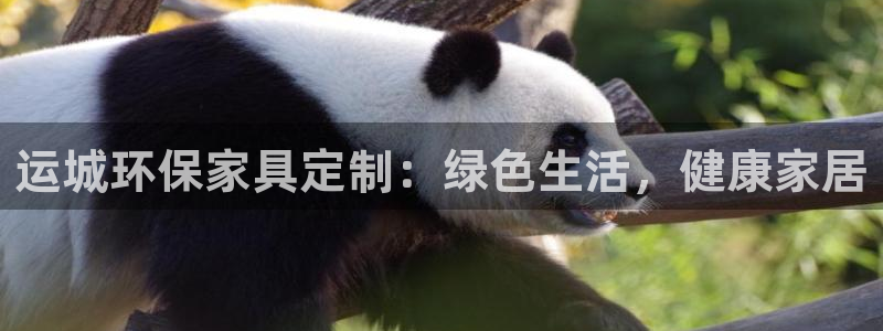 杏耀平台正规么