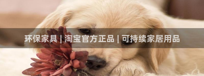 杏耀注册登录官网