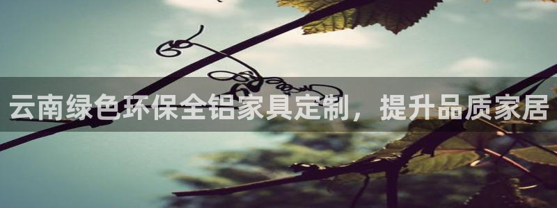 杏耀注册中心