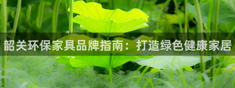 杏耀怎么注册