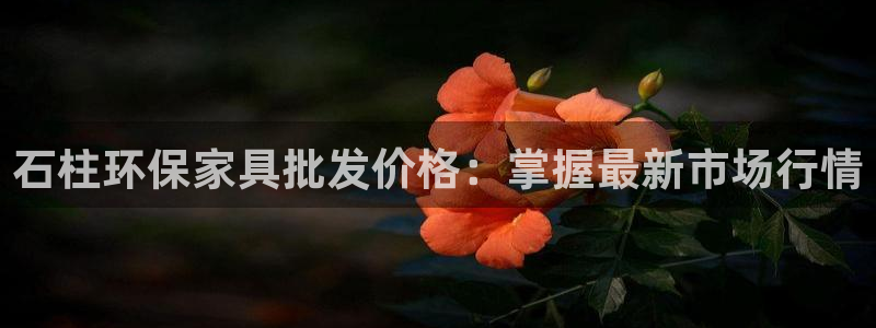 杏耀平台代理怎么赚钱：石柱环保家具批发价格：掌握最新市场行情