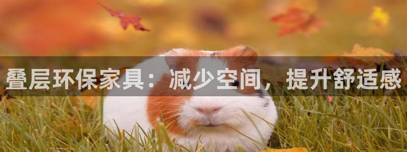 杏耀平台代理怎么赚钱