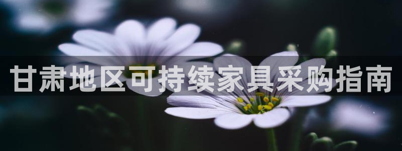 杏耀代理1980