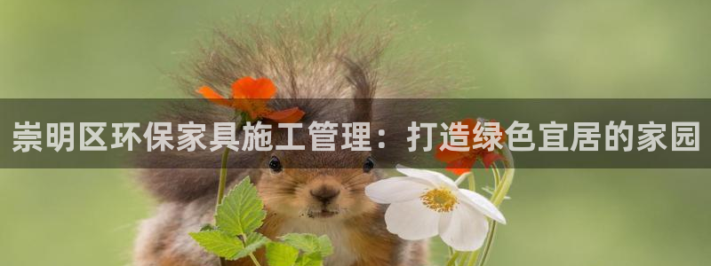 杏耀登陆测速：崇明区环保家具施工管理：打造绿色宜居的家园