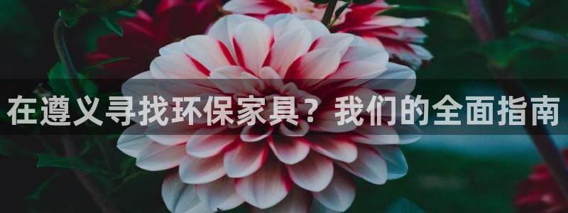 杏耀平台正规么：在遵义寻找环保家具？我们的全面指南
