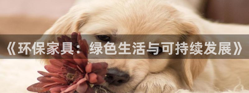杏耀代理主管qq