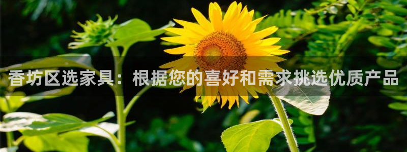 杏耀软件