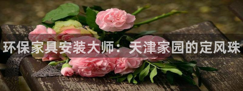 杏耀注册链接：环保家具安装大师：天津家园的定风珠