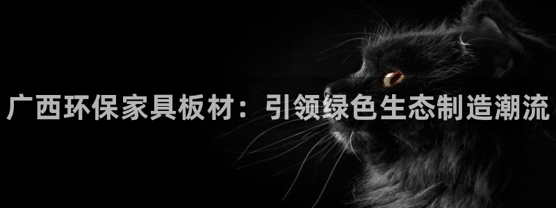 杏耀官方：广西环保家具板材：引领绿色生态制造潮流