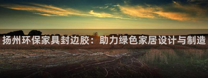 杏耀平台线路测速登录：扬州环保家具封边胶：助力绿色家居设计与