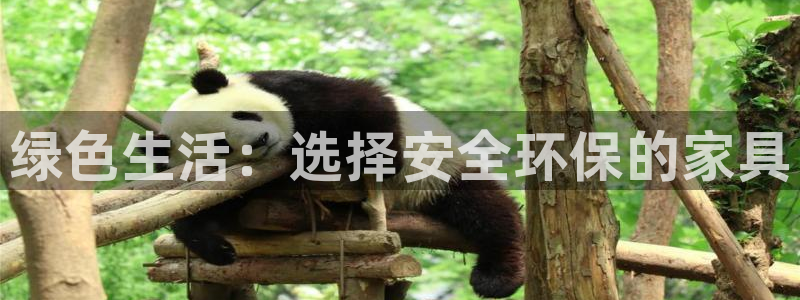 杏耀官网注册地址：绿色生活：选择安全环保的家具