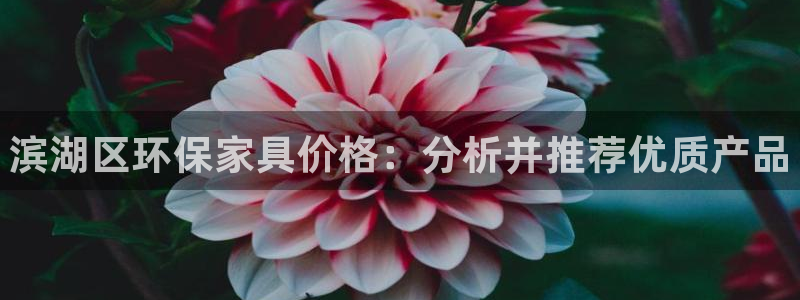 杏耀代理日工资多少