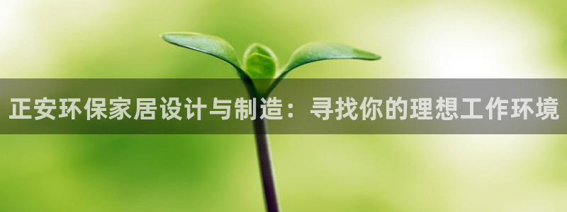 杏耀官网登陆：正安环保家居设计与制造：寻找你的理想工作环境