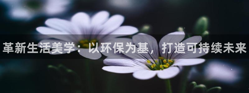杏耀手机网页登录入口：革新生活美学：以环保为基，打造可持续未