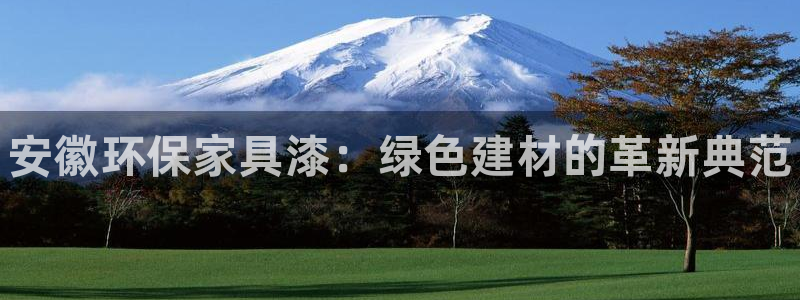 杏耀平台首页：安徽环保家具漆：绿色建材的革新典范
