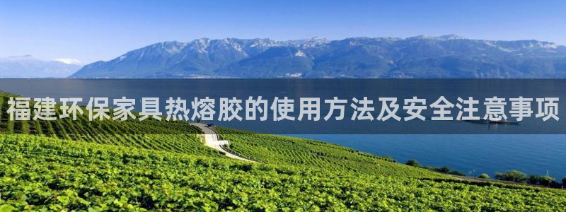 杏耀测速网址电脑版：福建环保家具热熔胶的使用方法及安全注意事